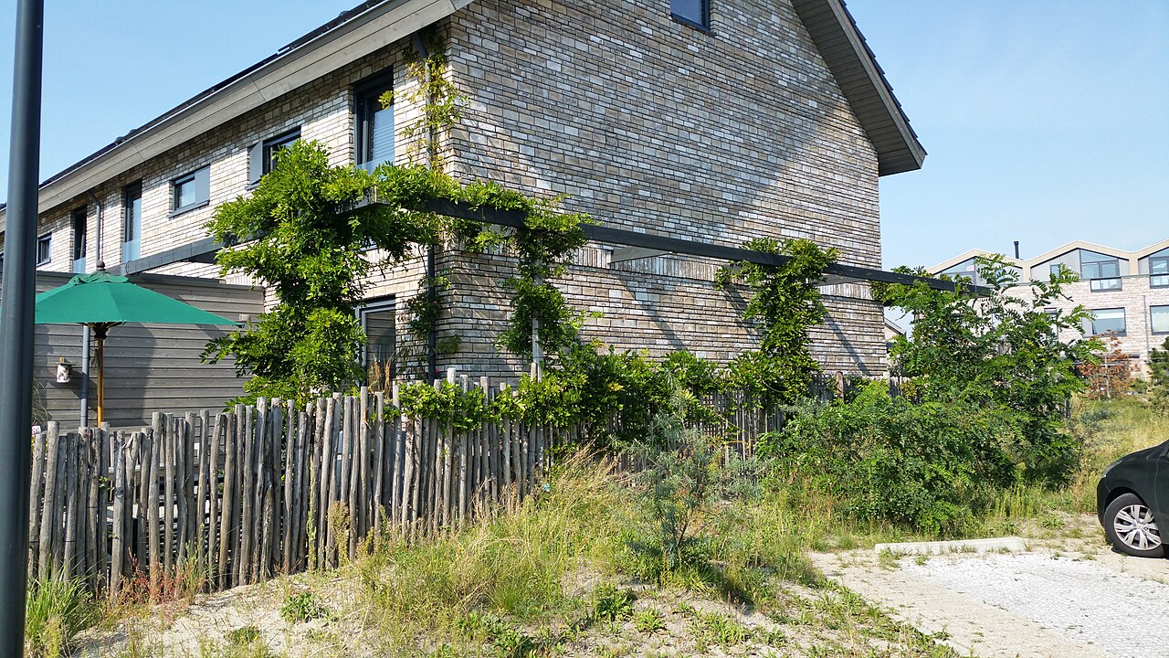 Nieuwbouwwoning met begroeide gevel in Duin, Almere