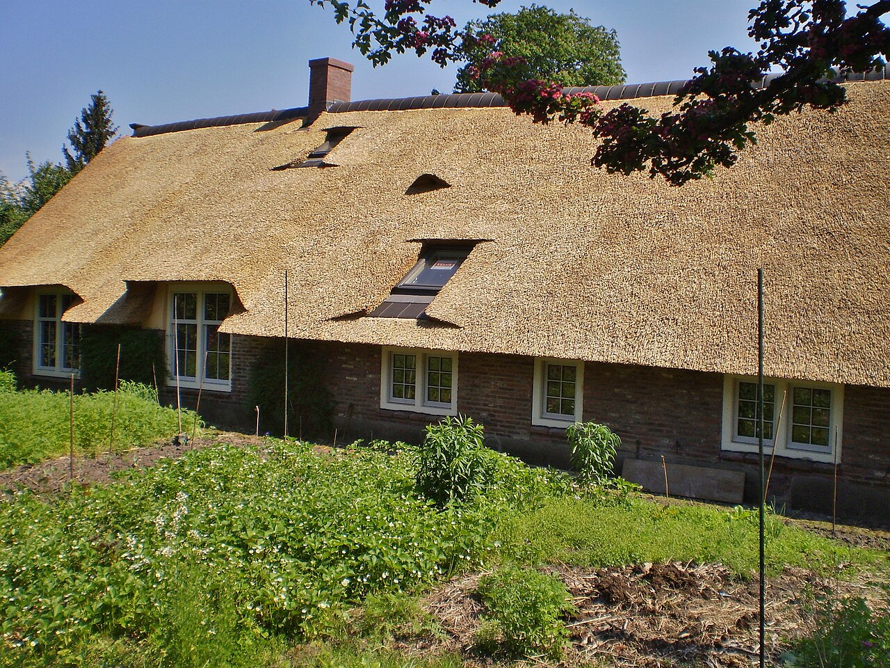 Rietgedekte boerderij aan de Angerechtsweg in Blaricum