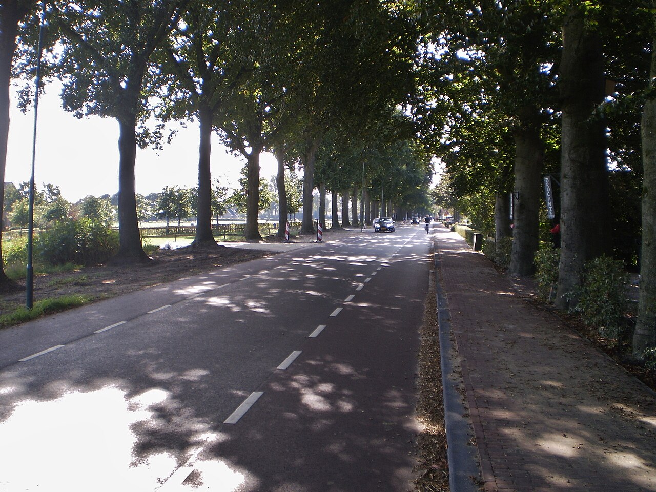 De Wakkerendijk in Eemnes