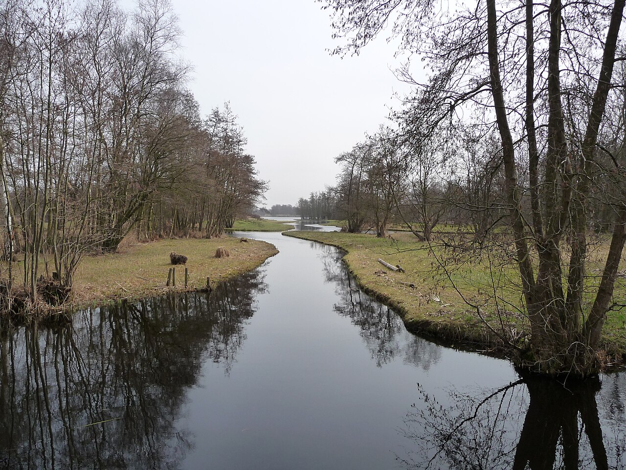 Water en rietland bij de Loosdrechtse Plassen